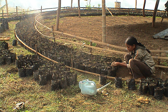 Permaculture