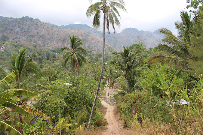 Timor-Leste