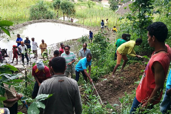 Permaculture Timor-Leste