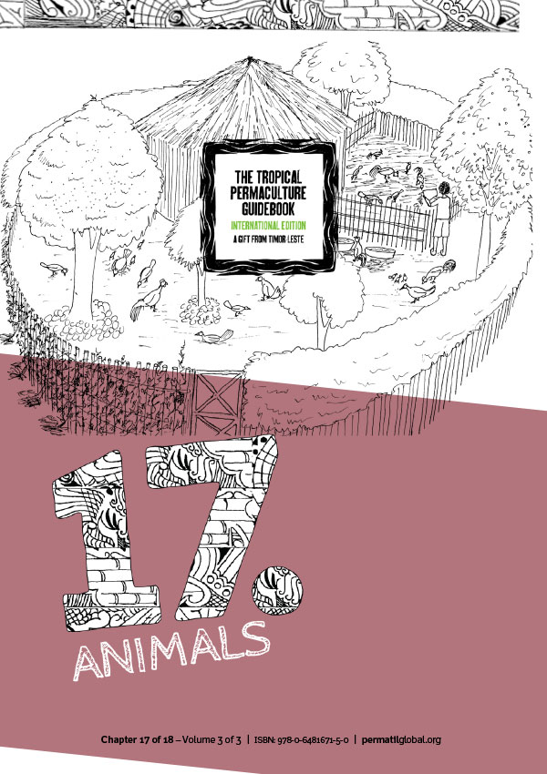 Chapter 17. Animals